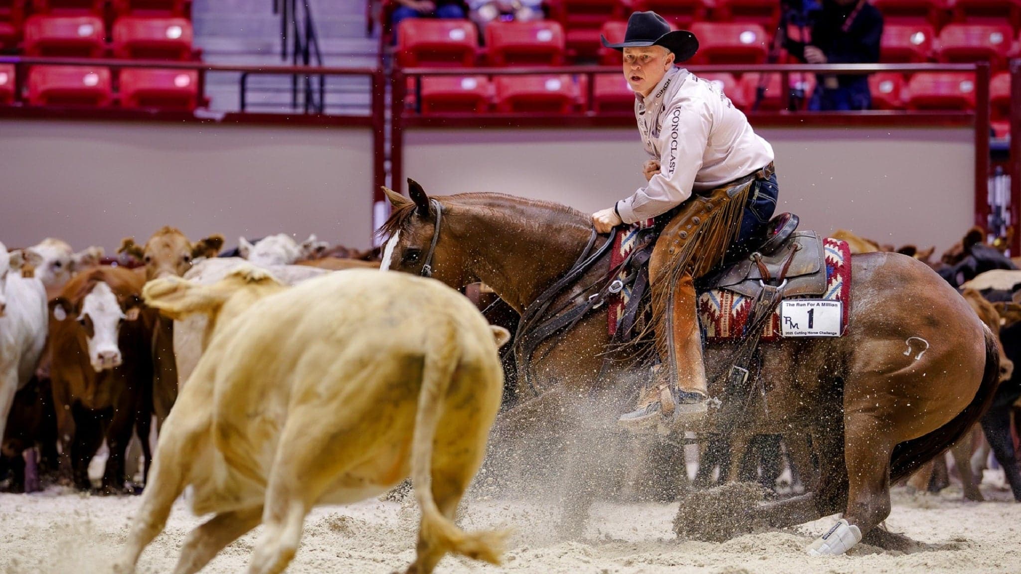 The Run for a Million Cutting Horse Challenge at South Point Arena at South Point Hotel Casino and Spa