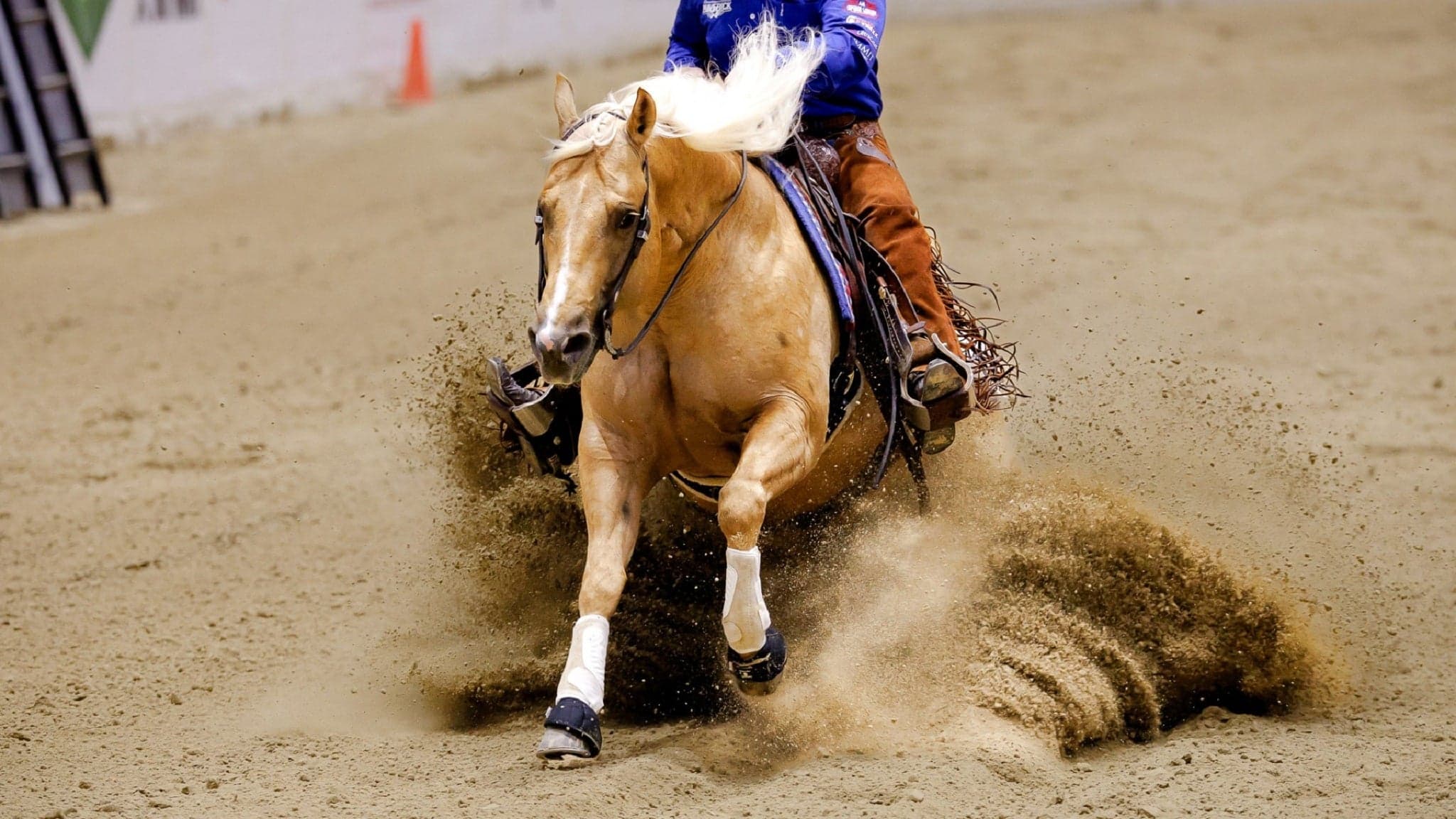 The Run for a Million Reining Challenge at South Point Arena at South Point Hotel Casino and Spa