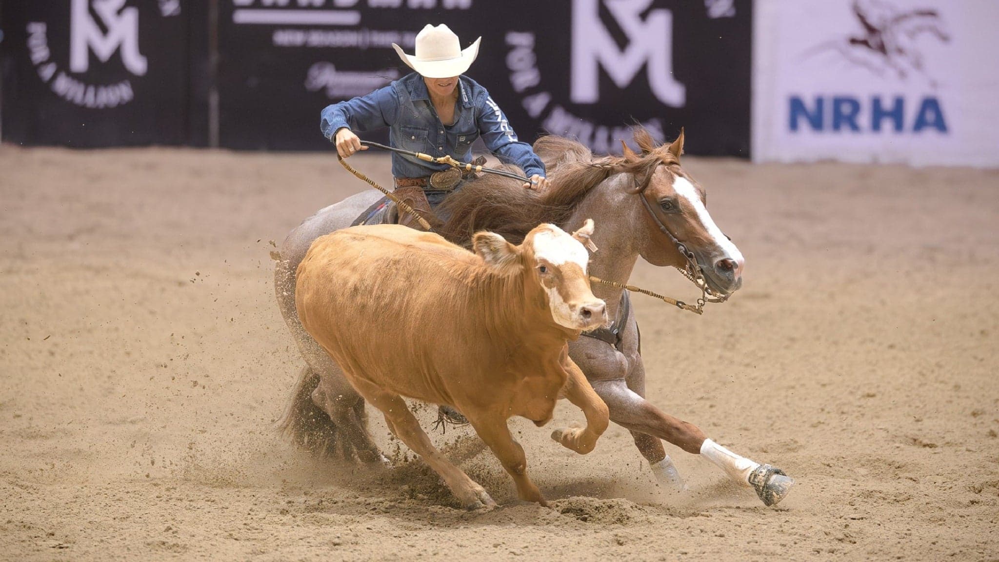 The Run for a Million Cow Horse Challenge at South Point Arena at South Point Hotel Casino and Spa